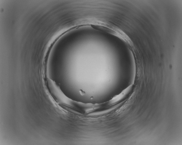 X0000066121144200603101229