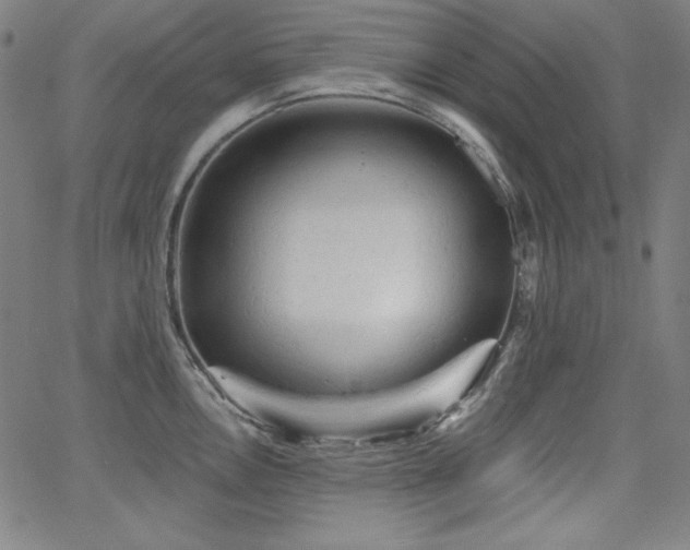 X0000066121146200603101229