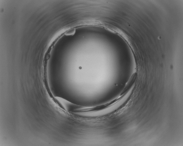 X0000066121147200603101229