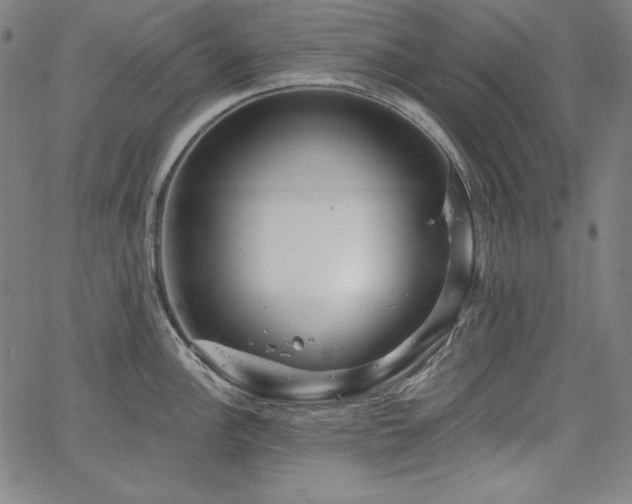 X0000066121148200603101229