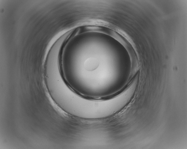 X0000066121152200603101229