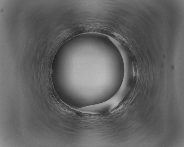 X0000066121153200603101228