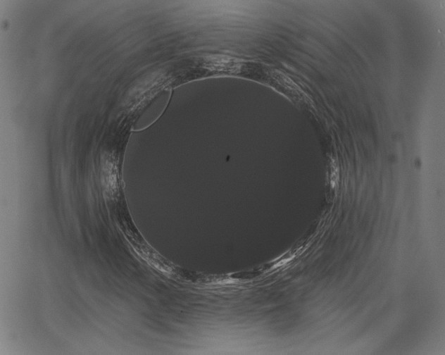 X0000066121154200603101228