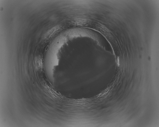 X0000066121155200603101228