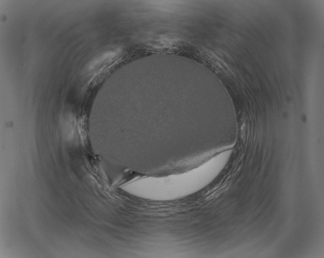 X0000066121156200603101228