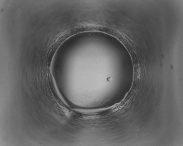 X0000066121157200603101228