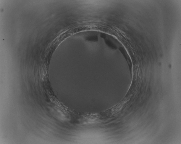 X0000066121158200603101228