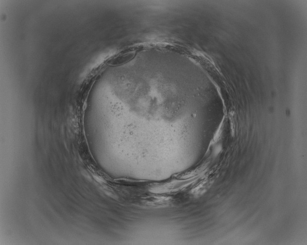 X0000066121159200603101228