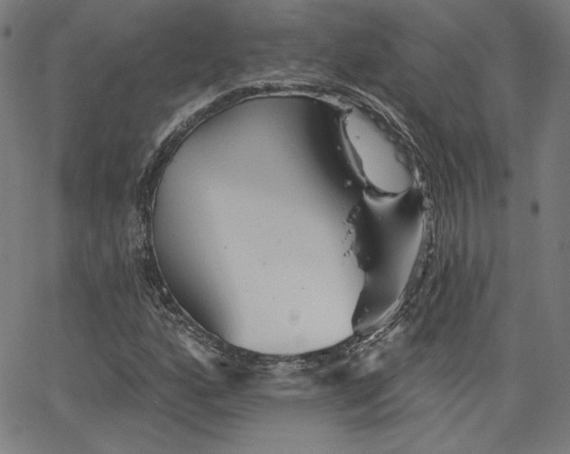 X0000066121160200603101228