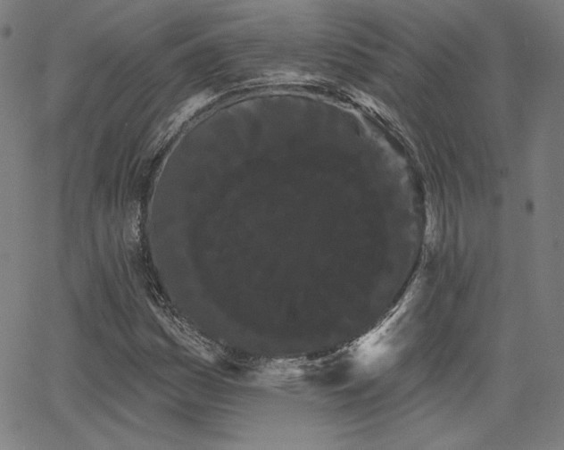 X0000066121161200603101228