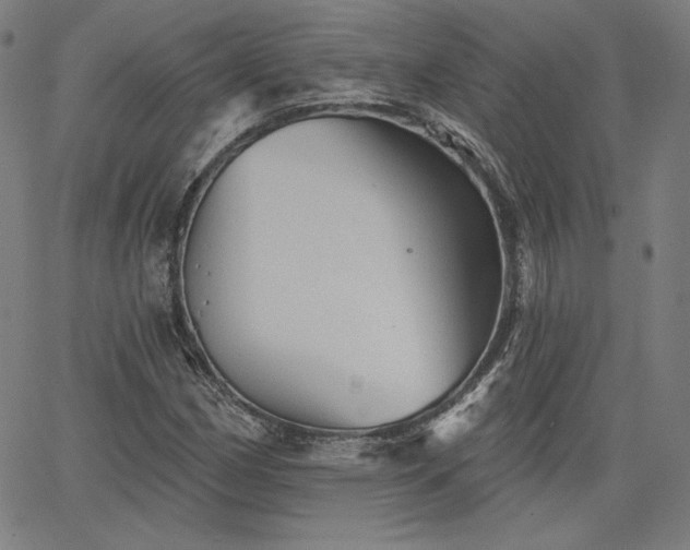 X0000066121162200603101228