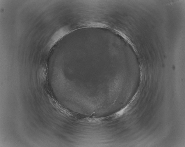 X0000066121163200603101228