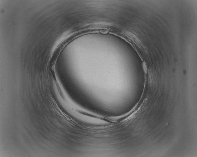 X0000066121164200603101228