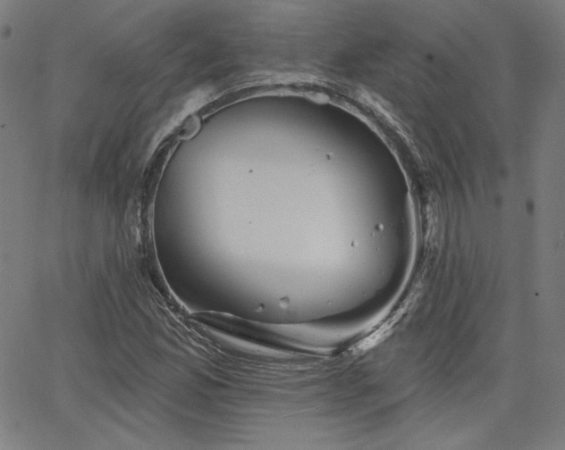 X0000066121165200603101228