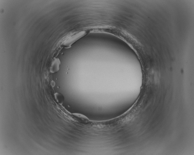 X0000066121169200603101228