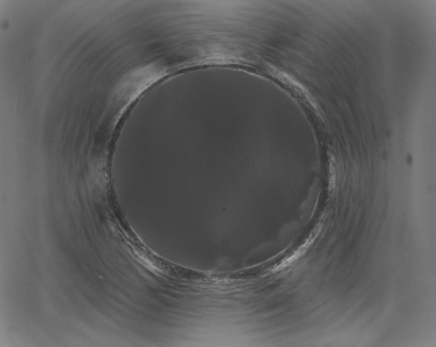 X0000066121170200603101228