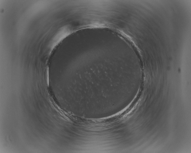 X0000066121171200603101228