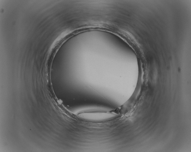 X0000066121172200603101228