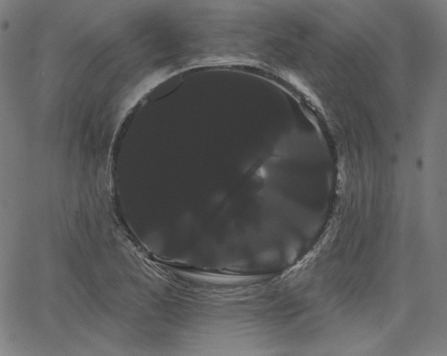 X0000066121173200603101228