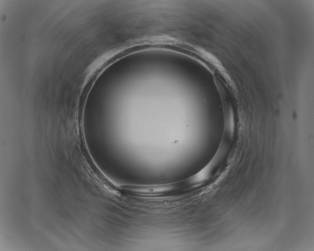 X0000066121176200603101228