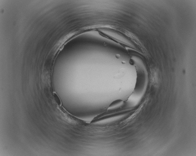 X0000066121177200603101228