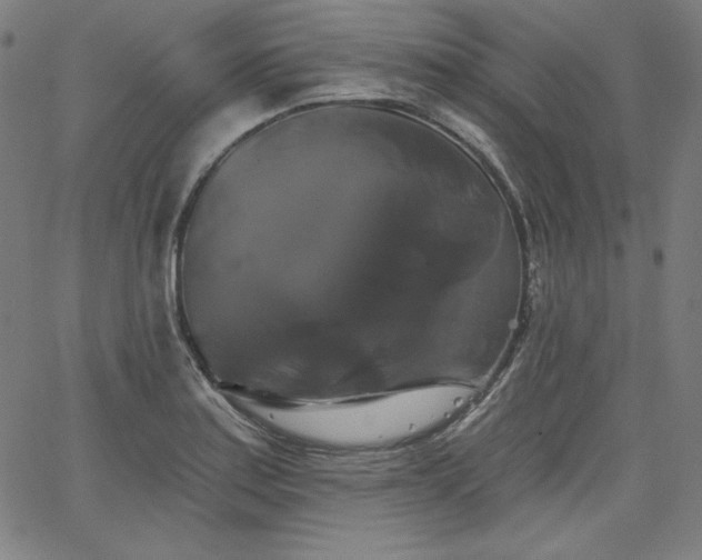 X0000066121179200603101228