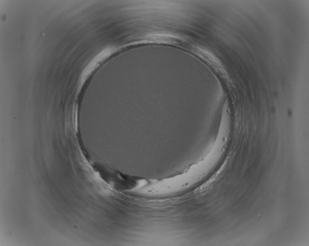 X0000066121180200603101228