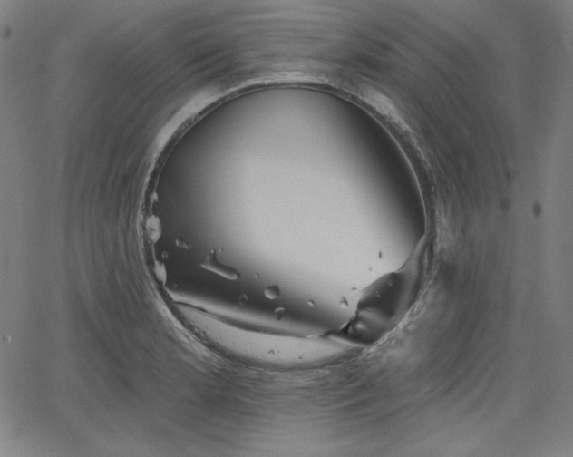 X0000066121181200603101228