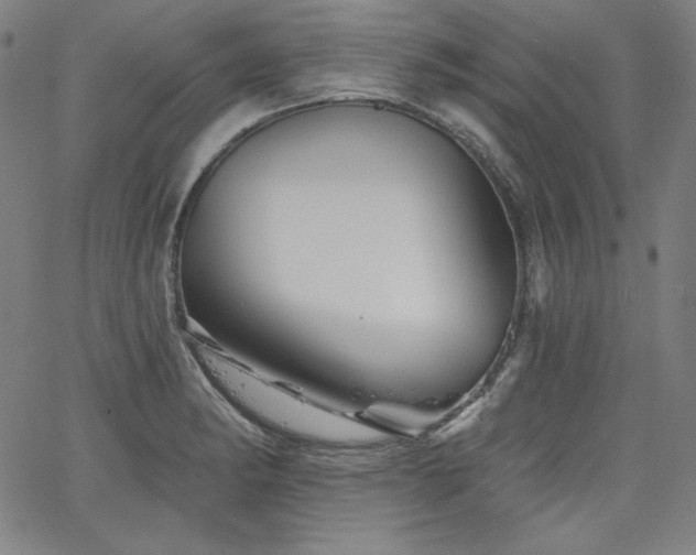 X0000066121182200603101228