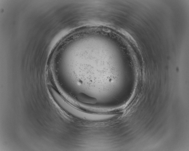 X0000066121183200603101228