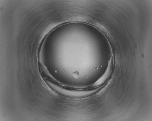 X0000066121184200603101228