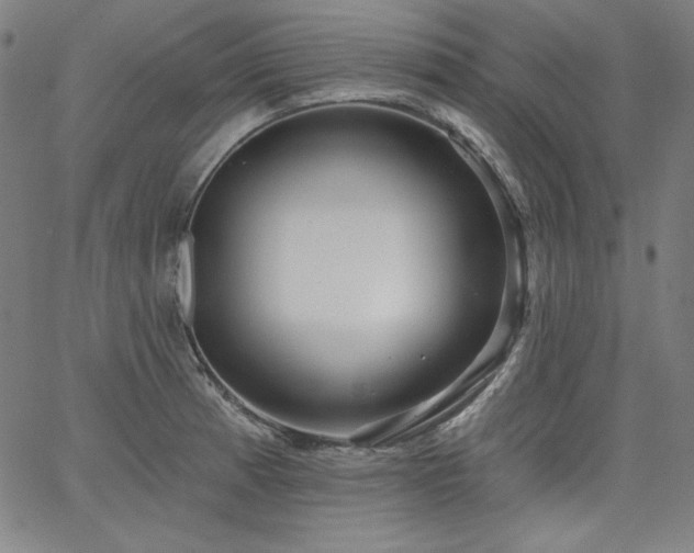 X0000066121185200603101228