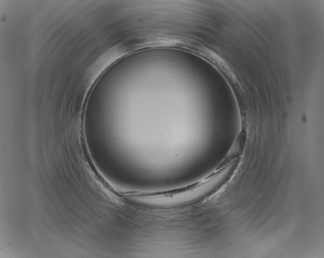 X0000066121186200603101228