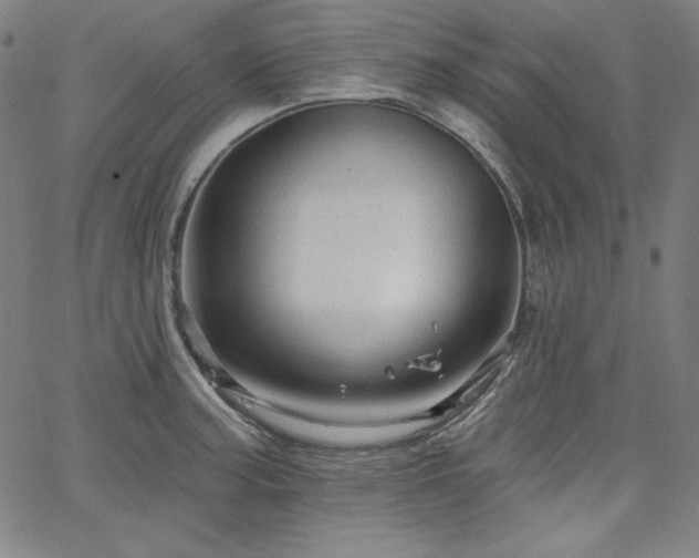 X0000066121187200603101228