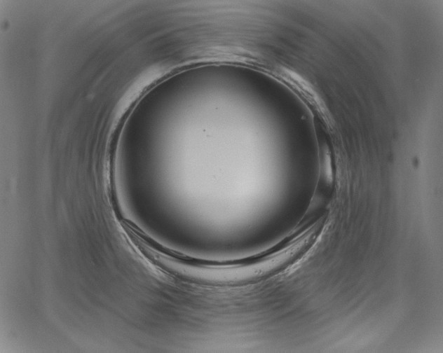 X0000066121188200603101228