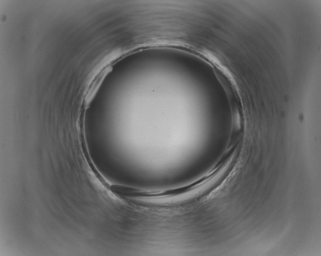 X0000066121189200603101228