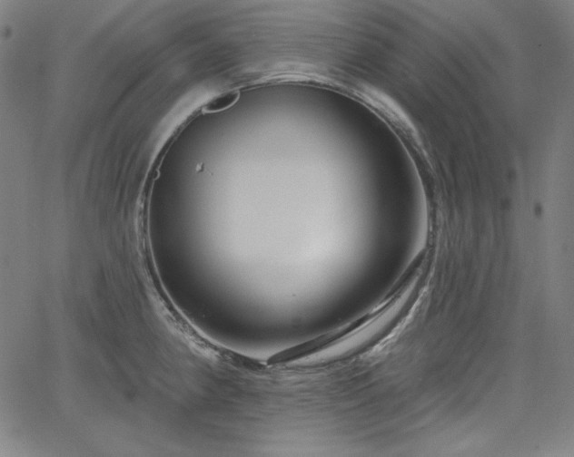 X0000066121190200603101228