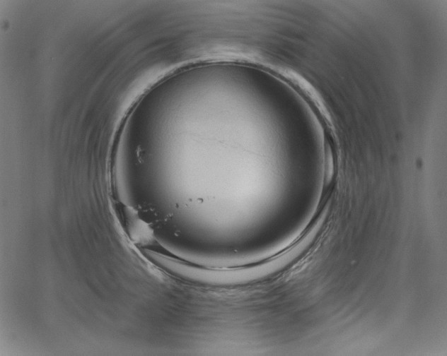 X0000066121191200603101228