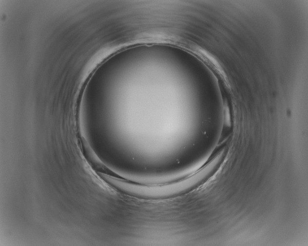 X0000066121192200603101228