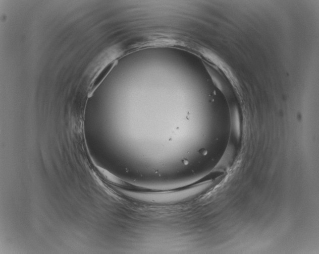 X0000066121193200603101228