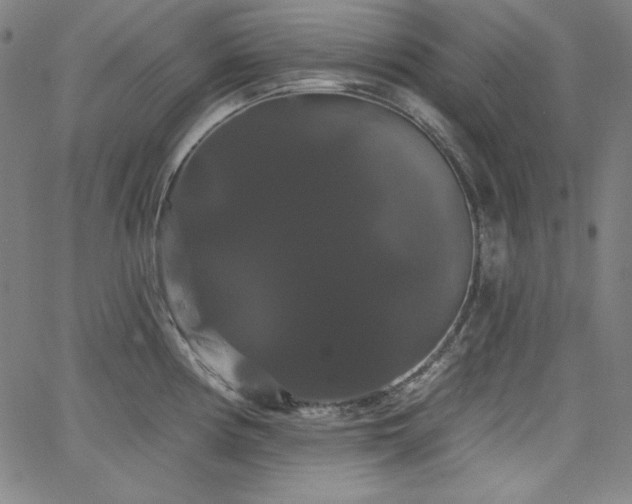 X0000066121194200603101228