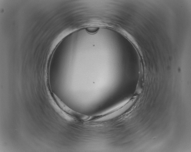 X0000066121195200603101228