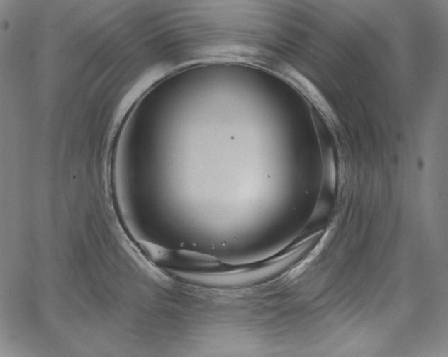 X0000066121196200603101228