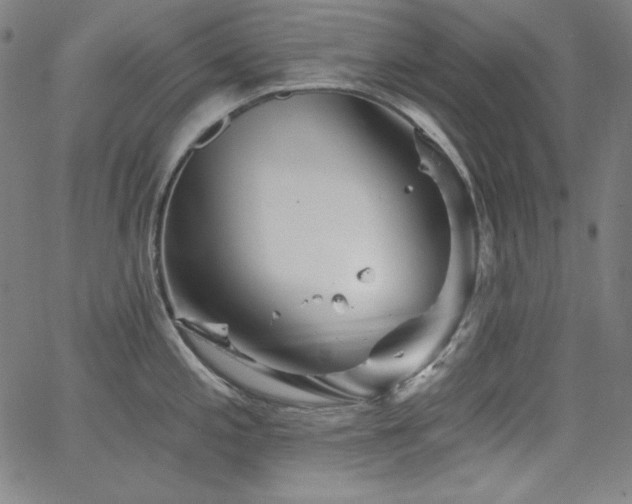 X0000066121197200603101228