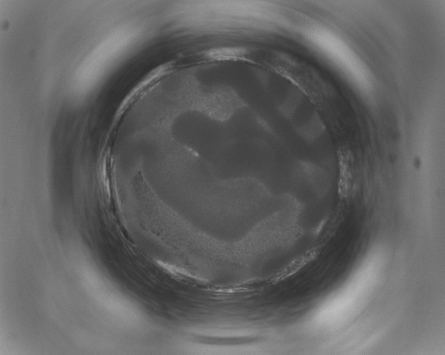 X0000066121198200603101228