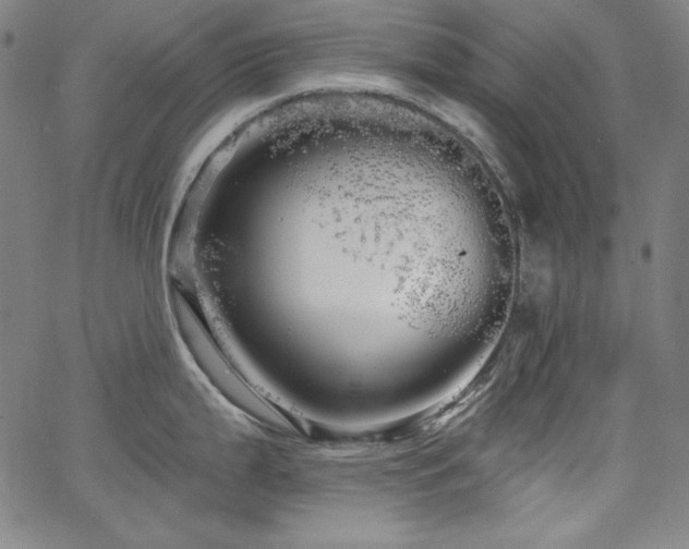 X0000066121199200603101228