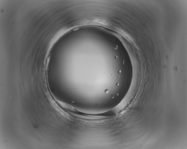 X0000066121200200603101228