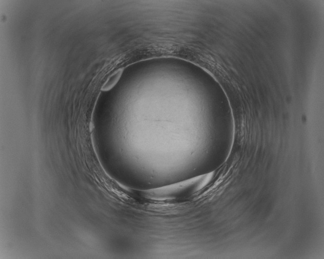 X0000066121201200603101227