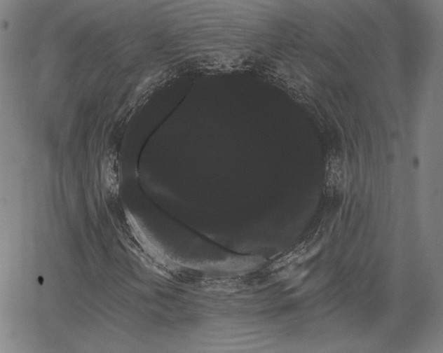 X0000066121202200603101227