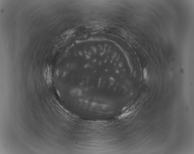 X0000066121203200603101227